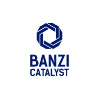 Banzi Catalyst
