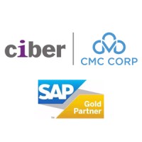 Kinh nghiệm quản trị với SAP ERP logo - Similar company to Erp Solution Sap