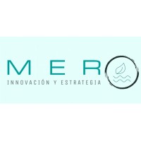 M E R Innovación y Estrategia logo - Similar company to Innodes - Innovación Y Desarrollo