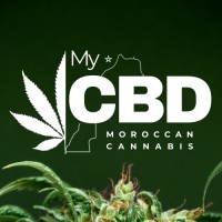 My CBD logo - Similar company to Jit Mat