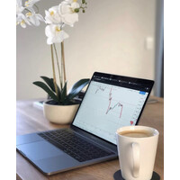 FOREX AND BITCOIN EARNERS logo - Similar company to Iranpay.Info