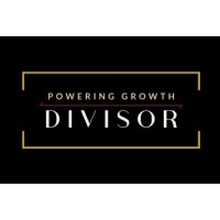 Divisor Ltd logo - Similar company to Webid Consult Ltd.