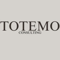 Totemo Consulting logo - Similar company to Balu Technologies