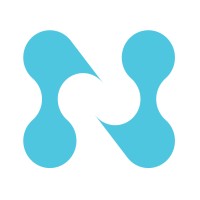 NetLogix logo - Similar company to Trident Mea Technologies Llc