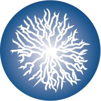 BrainCircle Lugano logo - Similar company to Braincircle Italia