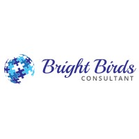 BRIGHT BIRDS CONSULTANT logo - Similar company to New England Info Tech