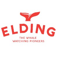Elding Adventure at Sea logo - Similar company to Arctic Explorers Norway