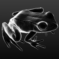 Silver Frog Developments logo - Similar company to Bine Properties