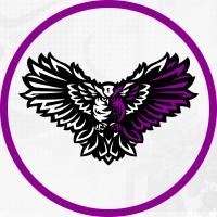 Noctem logo - Similar company to Storm Broadcast Ltd