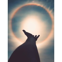 Crypto GOOD News logo - Similar company to Crypto Exchange Directory