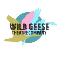 Wild Geese Theatre Company logo - Similar company to Studio 3 Arts