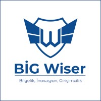 BİG Wiser logo - Similar company to K12Akademi