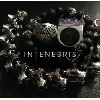 INTENEBRIS logo - Similar company to Johnny5Ive