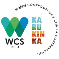 WCS Chile logo - Similar company to Postgrados Facultad De Ingeniería Arquitectura Y Diseño Uss