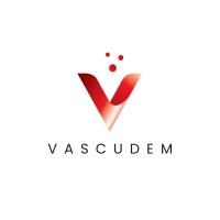 VASCUDEM logo - Similar company to Bbco Solutions