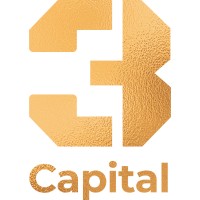 3 Capital logo - Similar company to D3 Development Limited