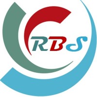 Robust Business Solutions logo - Similar company to Engenius Consulting