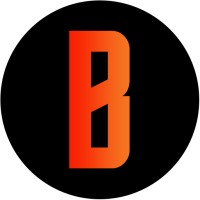 Brave New Games logo - Similar company to Pathless Productions