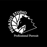 Pegasusw Studio - Professional Portrait logo - Similar company to Mwh Studio
