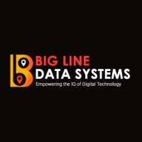 BLDS India- Big Line Data Systems logo - Similar company to Made By Sparky