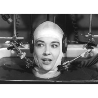 The Talking Head Video Studio logo - Similar company to Nirvana Interactive