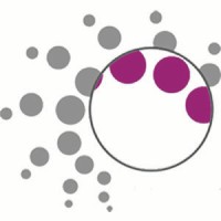 Iran Nano Product - محصولات فناوری نانو ایران logo - Similar company to Nano Axon