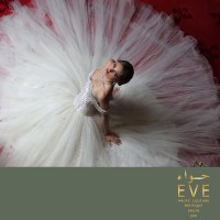 EVE Haute Couture logo - Similar company to Homerefill