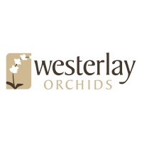 Westerlay Orchids logo - Similar company to Silver Vase