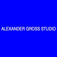 ALEXANDER GROSS STUDIO logo - Similar company to ¡Pinta Malasaña!