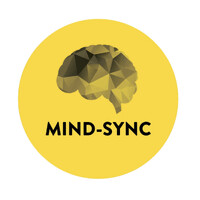 Mind-Sync logo - Similar company to Mind Sync Business Solutions