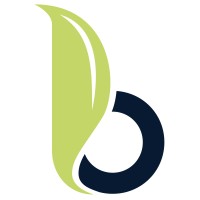 Bloom Finance Company Ltd. logo - Similar company to My Beacon