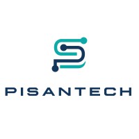 Pisantech logo - Similar company to Bsolutions
