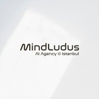 MindLudus — AI Agency logo - Similar company to Elvora Al Software