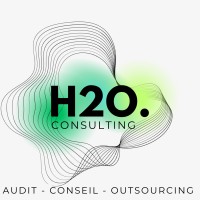 H2O Consulting logo - Similar company to Mendis
