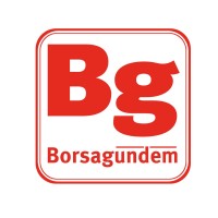 borsagundem.com.tr logo - Similar company to Borsanın Gündemi
