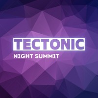 TecTonic Night Summit logo - Similar company to Bridge