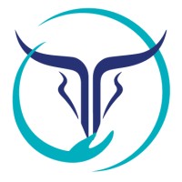 Toreans Diagnostic logo - Similar company to Blend Of Bites