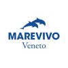 MAREVIVO VENETO logo - Similar company to Reeforest Life Project