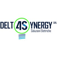 Delta Synergy srl logo - Similar company to Staff Sicurezza
