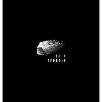 Shin Terroir logo - Similar company to Dasher & Tabata, Inc.