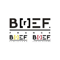 B[r]EF - Breizh Europe France logo - Similar company to Rezpardazan Information Technology Services Company