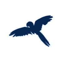 Dream Parrot Llc