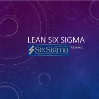 Lean Six Sigma Training Center logo - Similar company to Lean Six Sigma Training Ltd