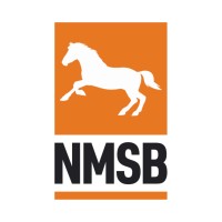 NMSB logo - Similar company to Shearn Group Llc