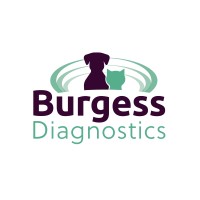 Burgess Diagnostics Ltd logo - Similar company to Diagnostic Vision
