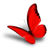 Butterflytalkies logo - Similar company to Blogscraft