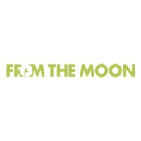 From The Moon logo - Similar company to Gametopia