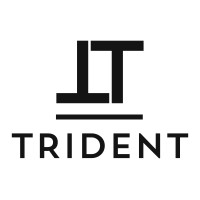 Trident Group Inc. logo - Similar company to Techfluent Systems