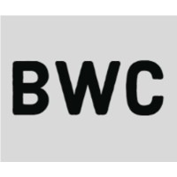 Big Wheel Consultants logo - Similar company to Safexcode