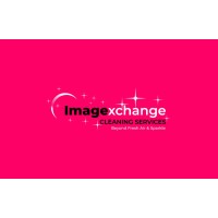 ImageXchange Cleaning Services logo - Similar company to Datasek Systems